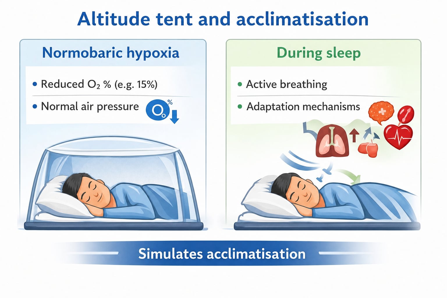 Illustration of normobaric hypoxia during sleep in an altitude tent and its effect on acclimatisation